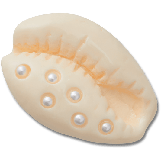 Pearl Puka Shell Jibbitz™ charms - Crocs online