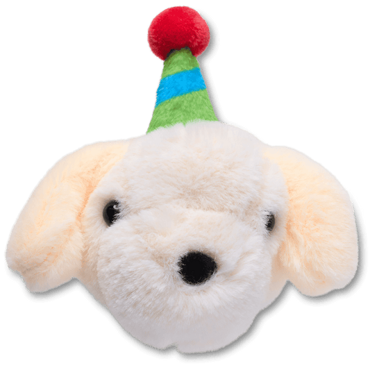 Record Your Own Sound Birthday Jibbitz™ charms - Crocs US
